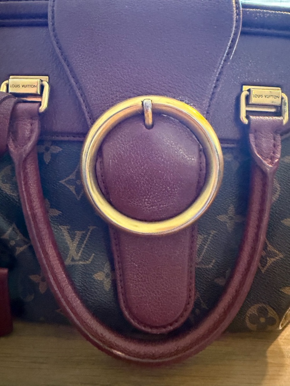 Louis Vuitton Bordeaux Golden Arrow View 6
